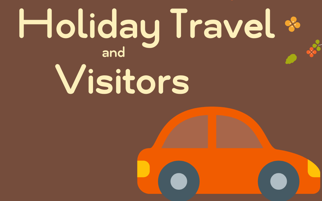 Holiday Travel & Visitors