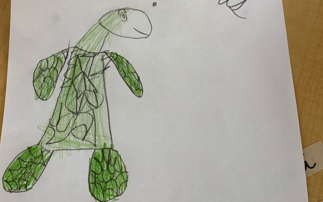 Jr. El Students Raise Money and Awareness for Texas Sea Turtles