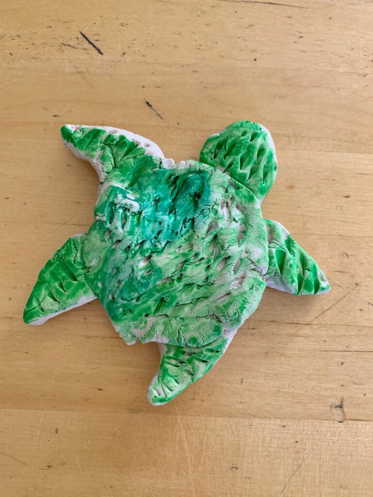 Jr. El Students Raise Money and Awareness for Texas Sea Turtles