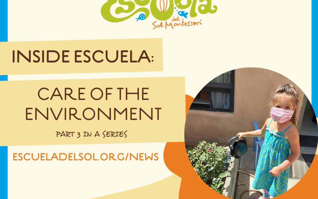Inside Escuela: Care of the Environment – Part 3 in a Series