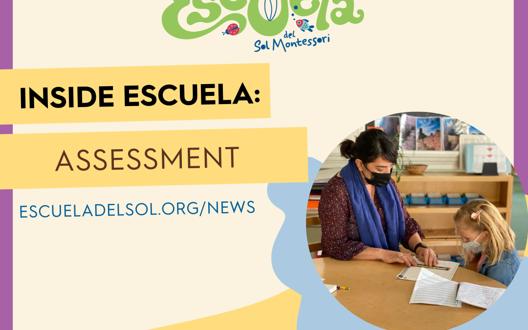 Inside Escuela – Assessment