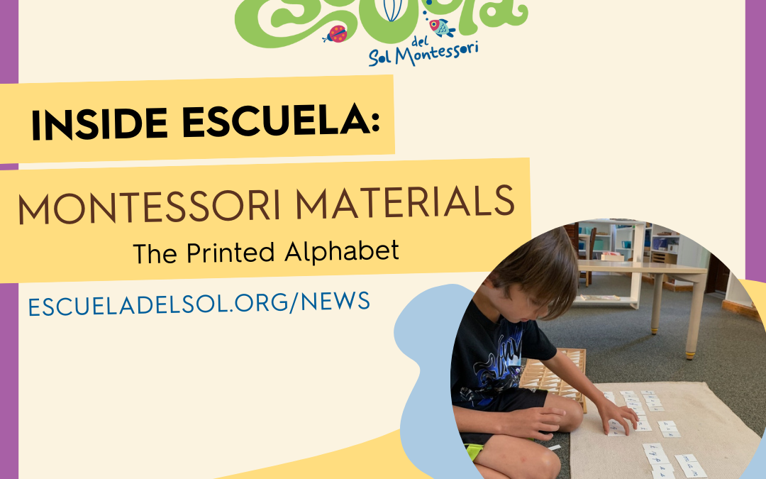 Inside Escuela: Montessori Materials – The Printed Alphabet